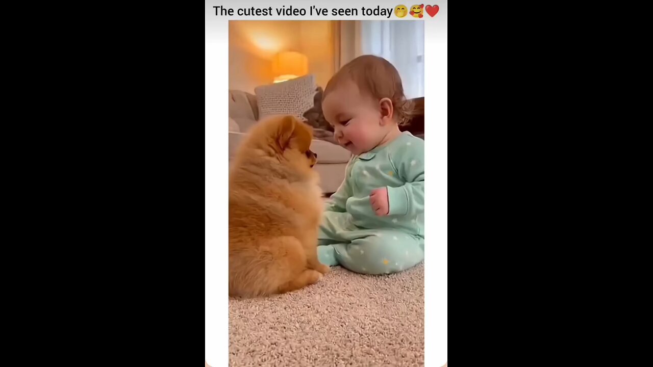 Bhau Bhau Time Dog And Baby 👶 🐕