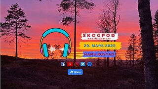 Skogpod 20. mars 2025