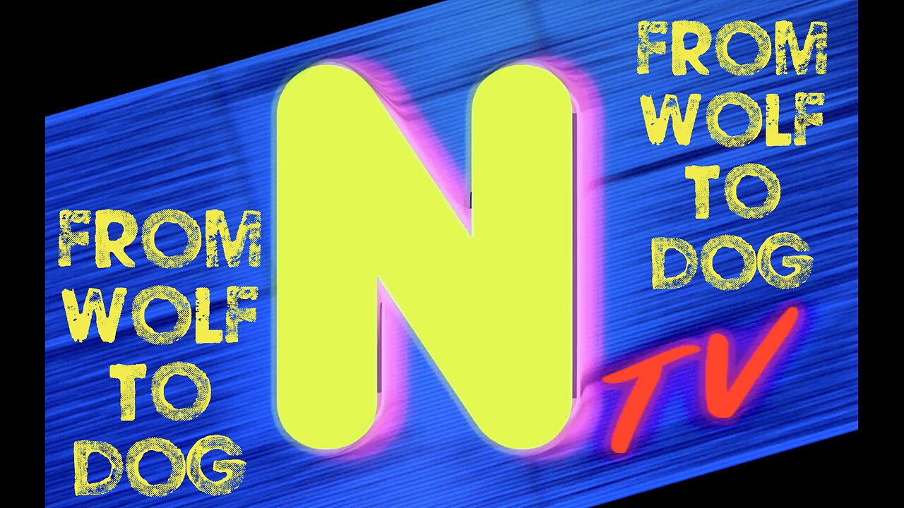 A NEW MUSIC VIDEO FROM - Ntv......W.O.F.N.