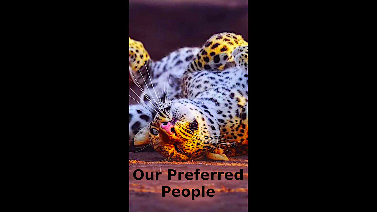 Elsa 🪭🧸 477 ~ Our Preferred People