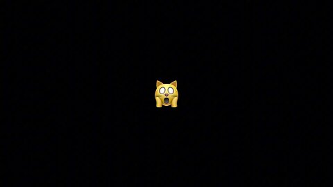 KOTOLGA - Co się dzieje？ Fagata, Leosia powiecie mi？