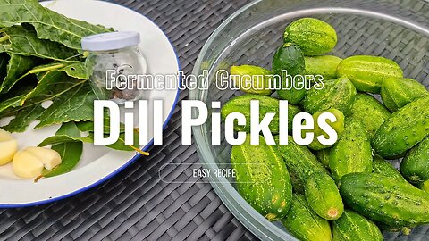 How to Make the BEST Fermented Dill Pickles (Gherkins) | Easy Garden Recipe!