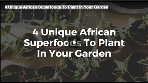 "Plant These 4 Unique African Superfoods in Your Garden"
