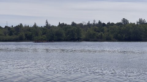 Dragon boat Rotary Folsom 2025