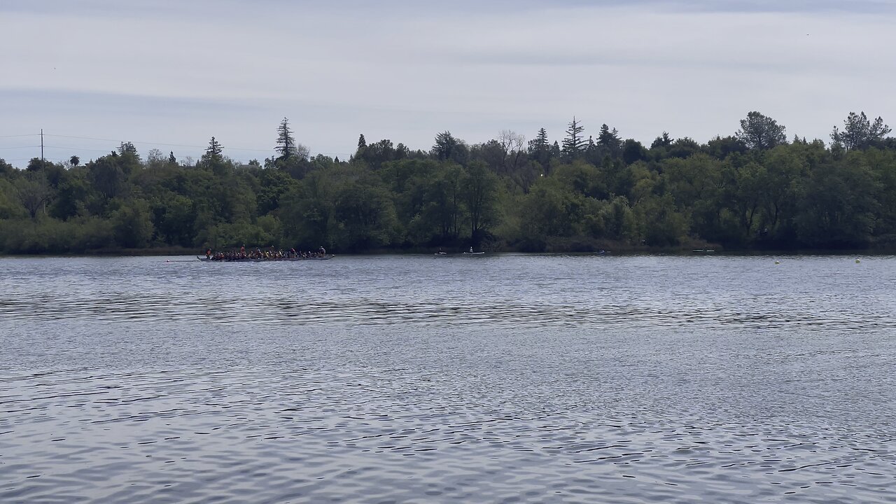 Dragon boat Rotary Folsom 2025