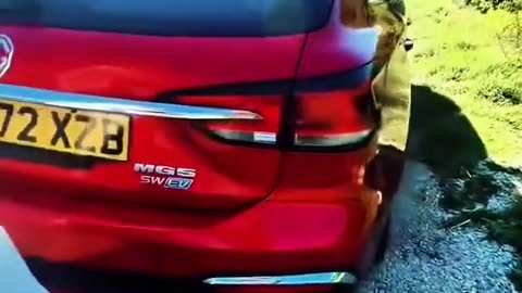 FilthyIndian dumps trash in field.