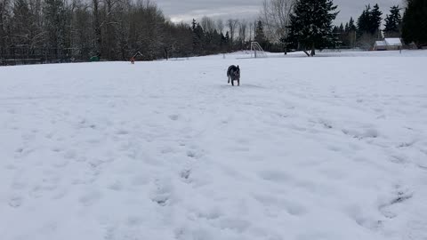 Yuma makes the tackle