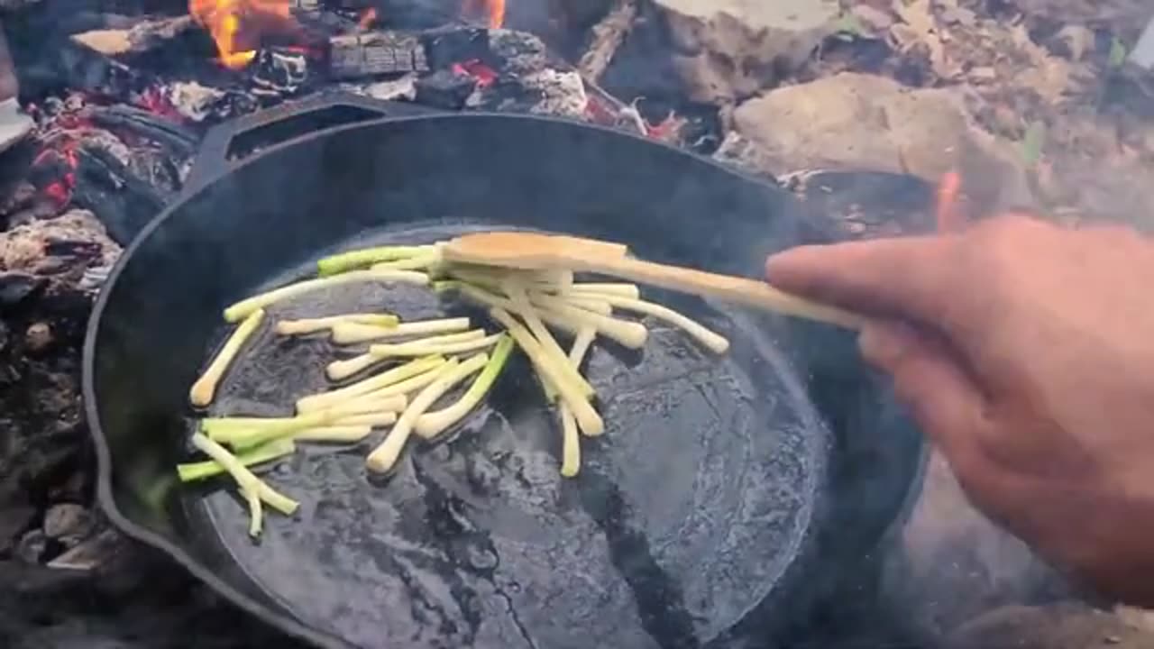 Wild Foraged Meal - Fiddleheads, Ramps, Pine Needle Tea_part2