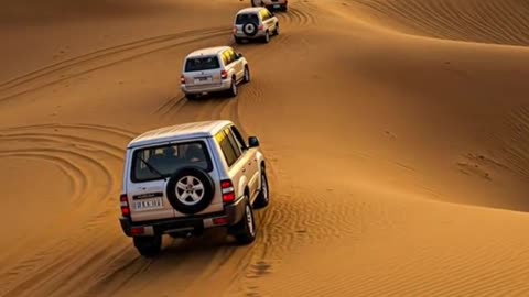 Desert Vibes