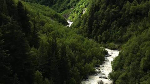 THE FLOW OF ALL THINGS - Lama Dawa's Commentary