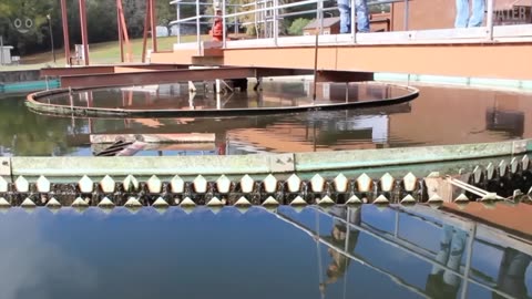 How Do Wastewater Treatment Plants Work?