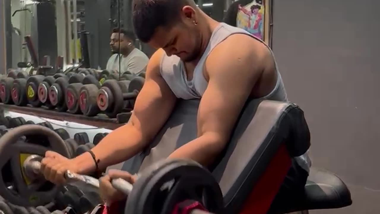 preacher curl movement