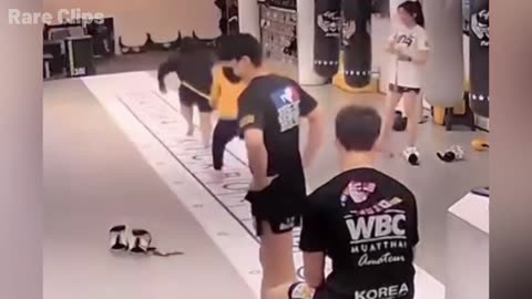 Funny Fails Compilation