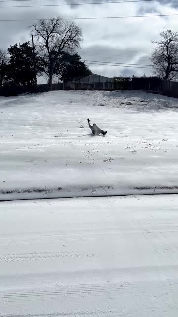 Fast Sledder Hits Both Curbs