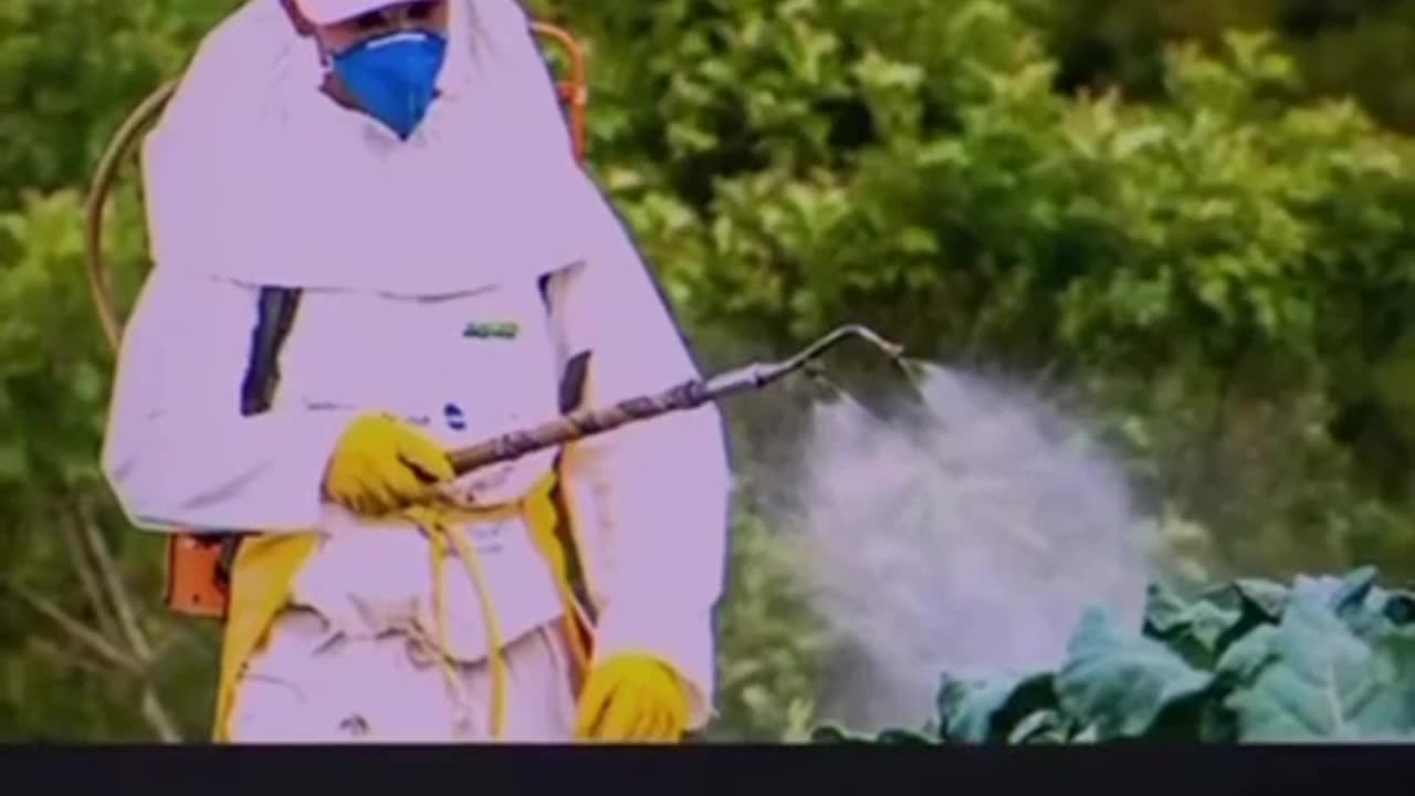 AMERICAN BREAD IS...