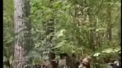 Ukraine war combat footage 9/6/25
