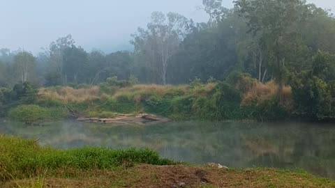28.8.2025 The Barron River Kuranda