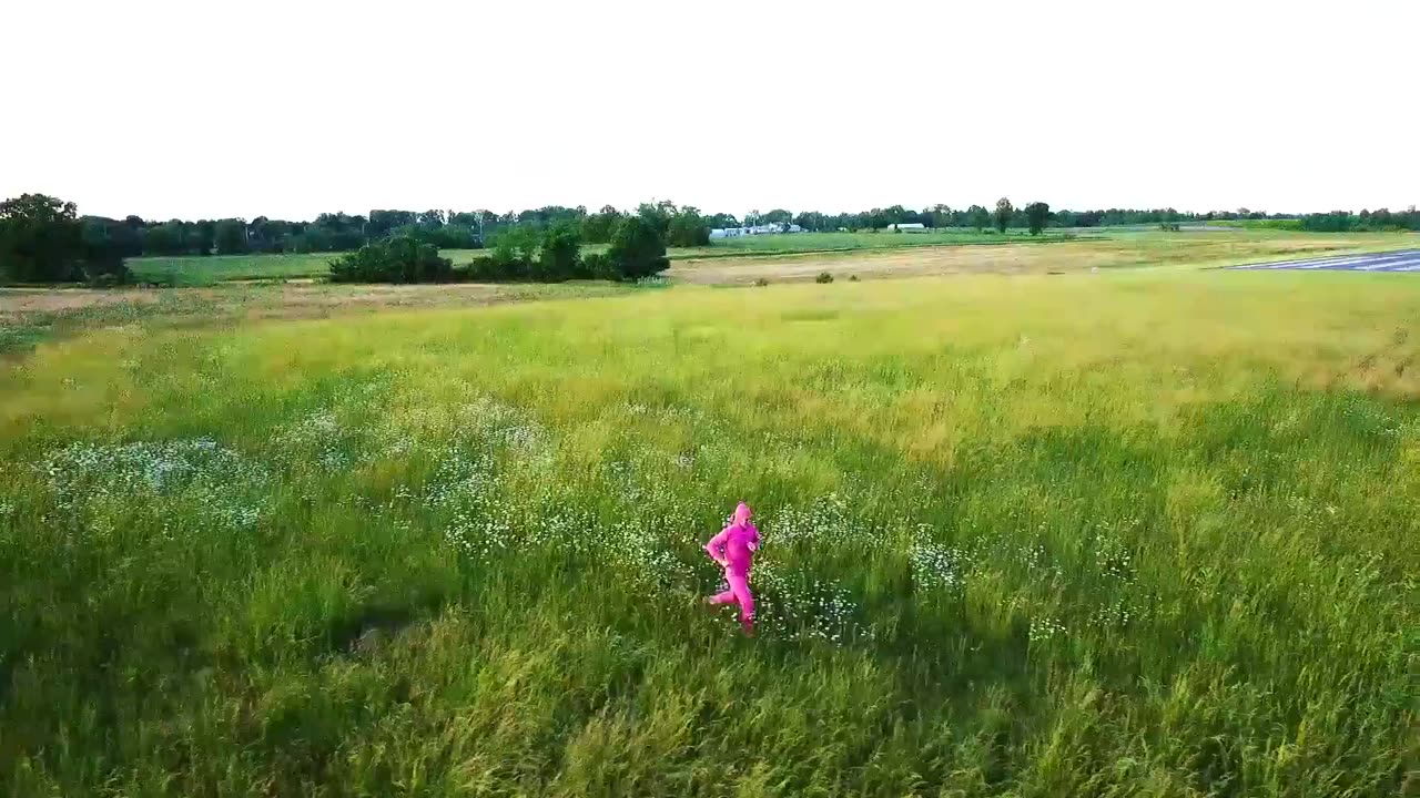 PINK LIFE
