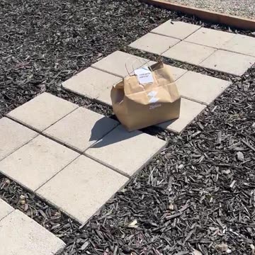 Drone delivery networks are going to change the skies around you