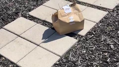 Drone delivery networks are going to change the skies around you