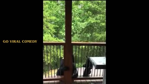 🤣 Funniest Animal Videos 2025 | You Won’t Stop Laughing! 😂 | Go Viral Comedy