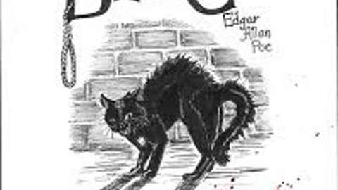 The Black Cat (Audio Book)