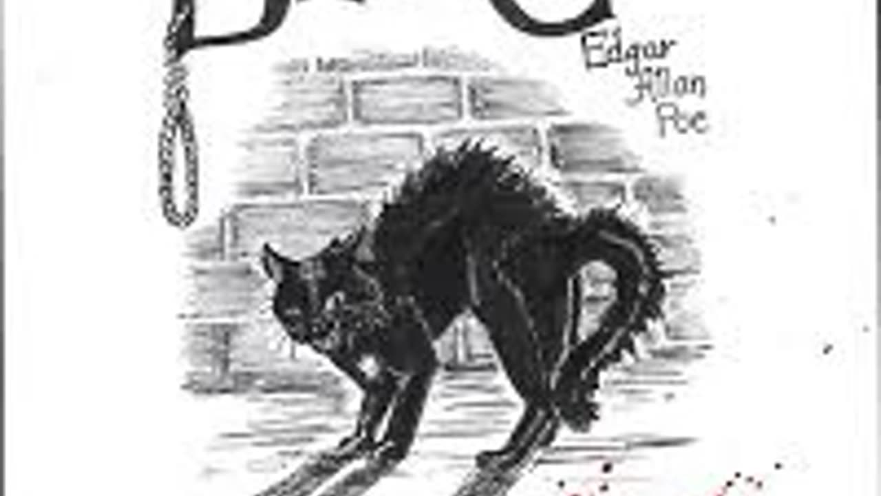 The Black Cat (Audio Book)