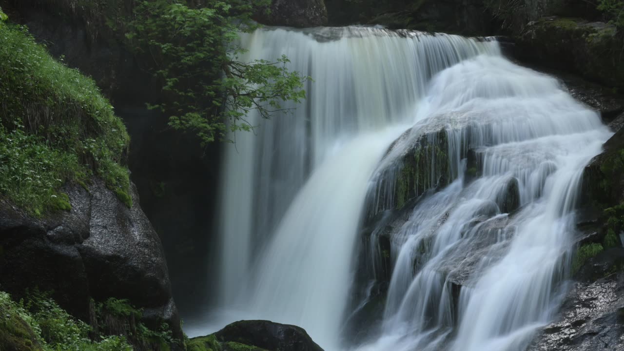 If you follow the real Jesus and the true Gospel, this will happen – Sermon Audio 11/2/25