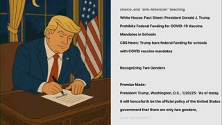 Lo-Fi MAGA Video to Relax/Study To 🇺🇸