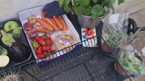 Dumpster Diving Queen 👑 (Detox Day 9)