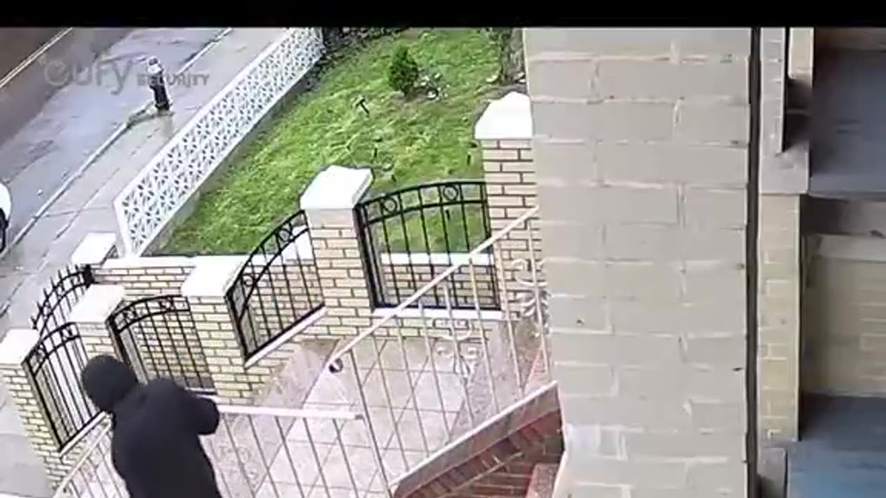 Black neighbors steal packages on camera