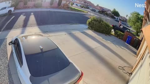 🐶🚶‍♂️ The Dog Attack That Went Hilariously Wrong! | FunFM