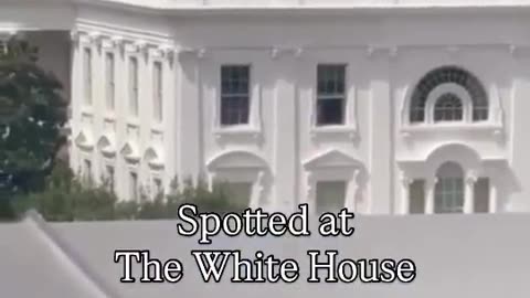 😱🏠 Shocking White House Bag Throw You Can't Miss! | FunFM