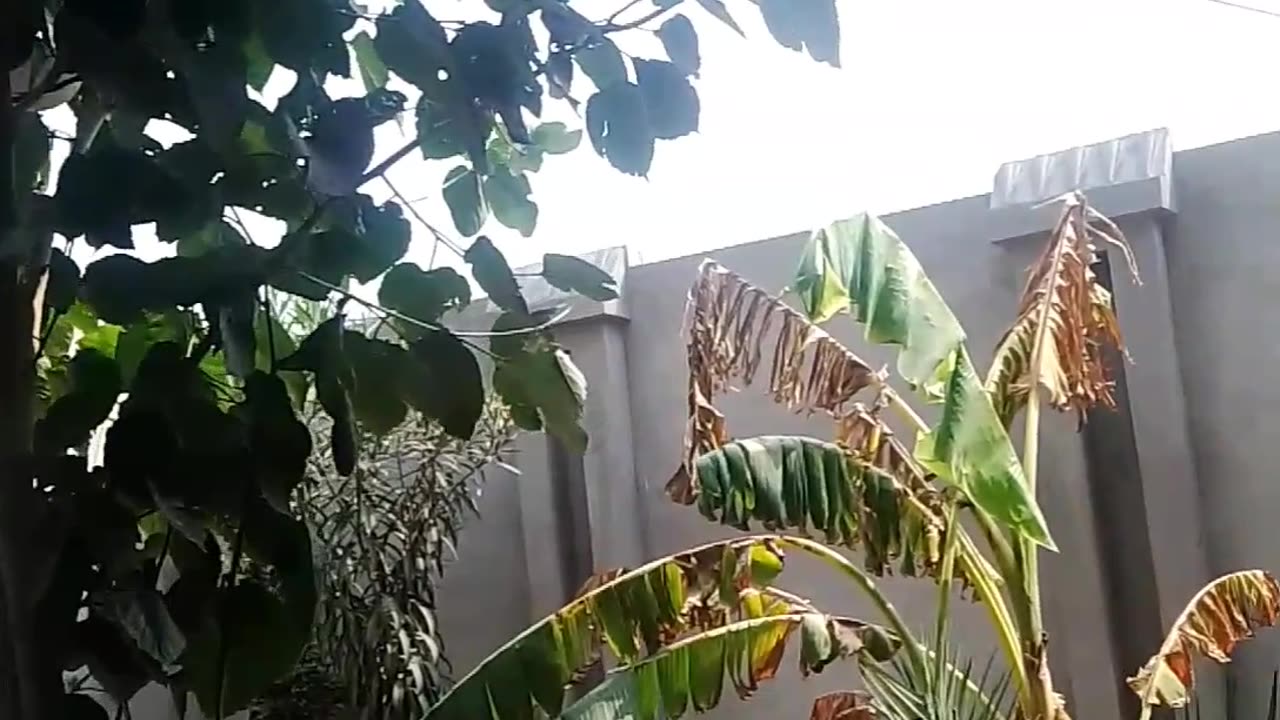 Mini vlog Mian Asad Family