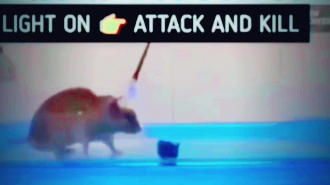 Mind Control Mice with Viruses & Blue Light? Optogenetics Breakthrough!