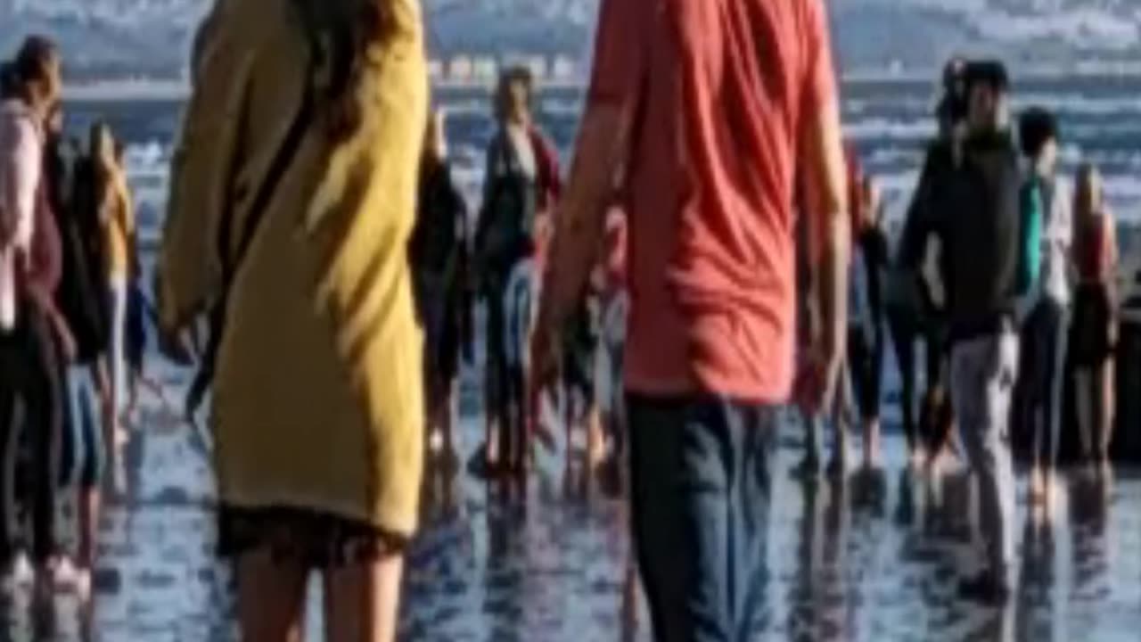 Coronado Shipwreck Photobombers