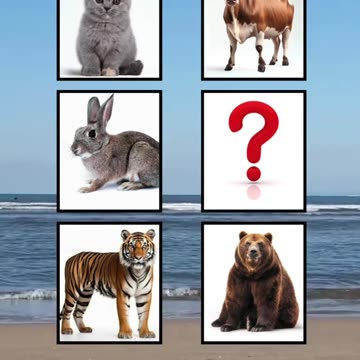 Test your memory 😀