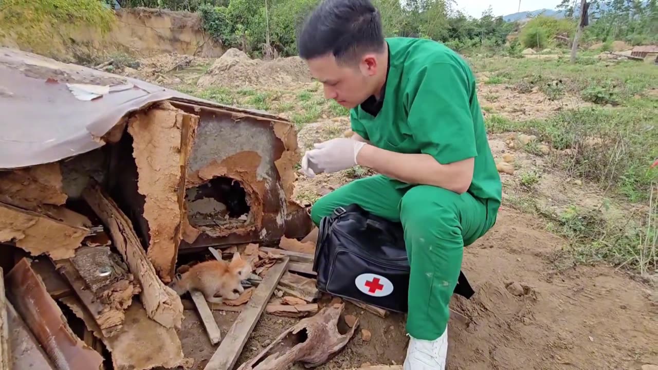 Rescuing Pet Treasures — A Mission of Love! 🐱❤️