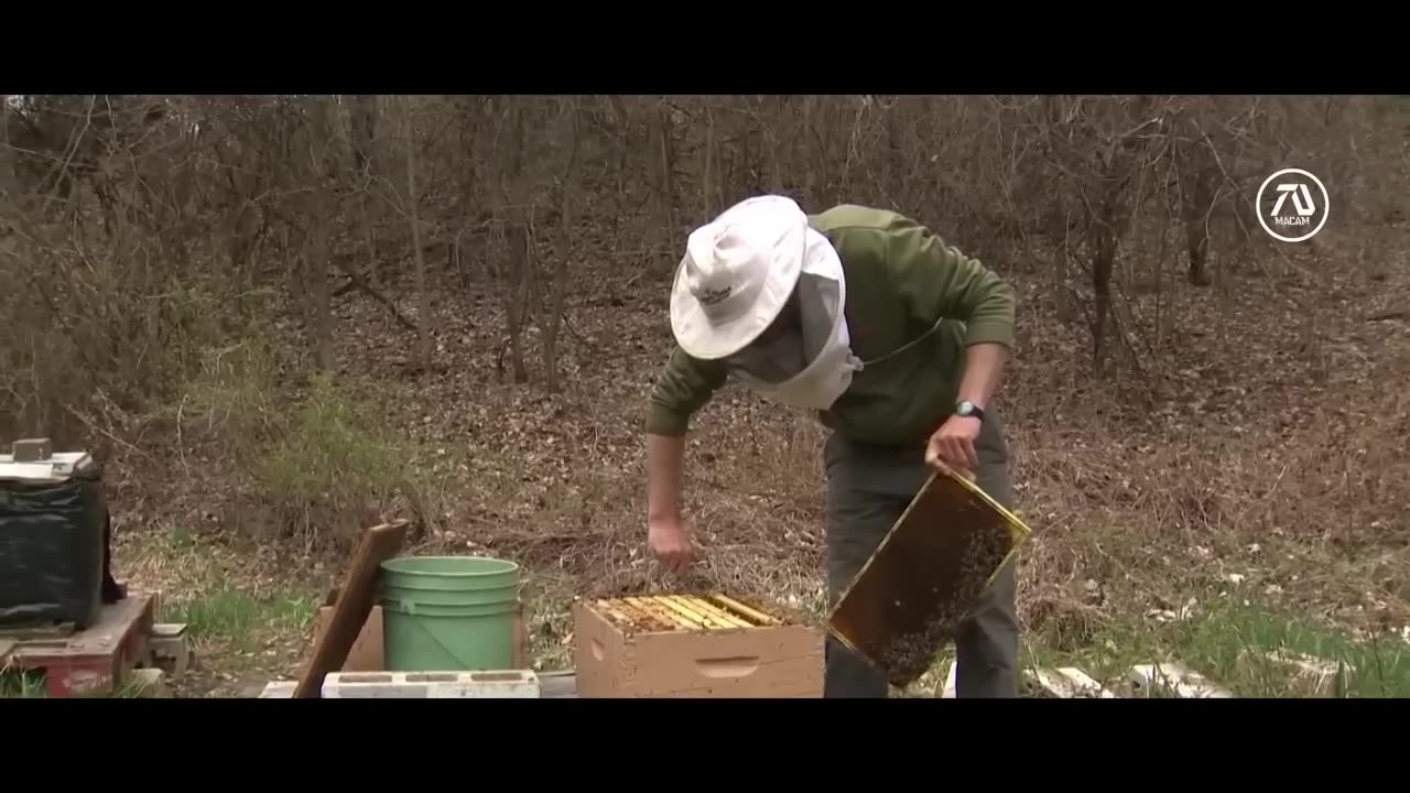 The Beekeeper 2