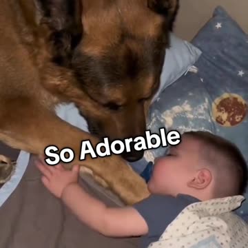 “SO SWEET WITH PUPPIES”🐶💖