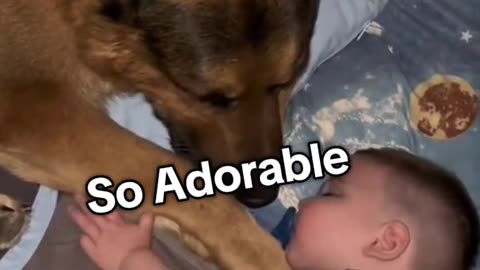 “SO SWEET WITH PUPPIES”🐶💖