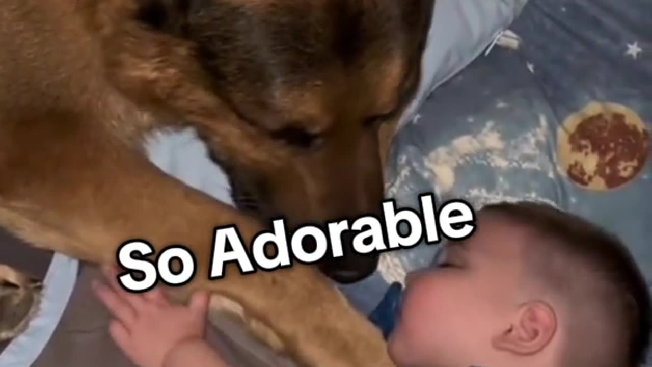 “SO SWEET WITH PUPPIES”🐶💖