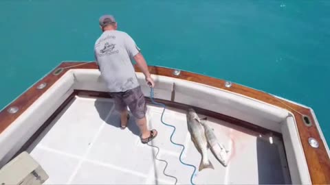 Fishing Tips Thursday! | Your Saltwater Guide Podcast #726