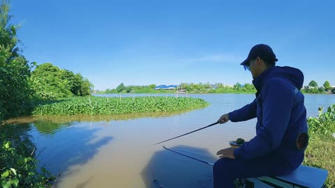Flussidylle Fische jagen #Süßwasserangeln #Fischjagd #Angelglück