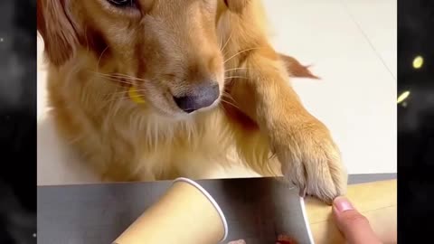 Como es que lo hace?
