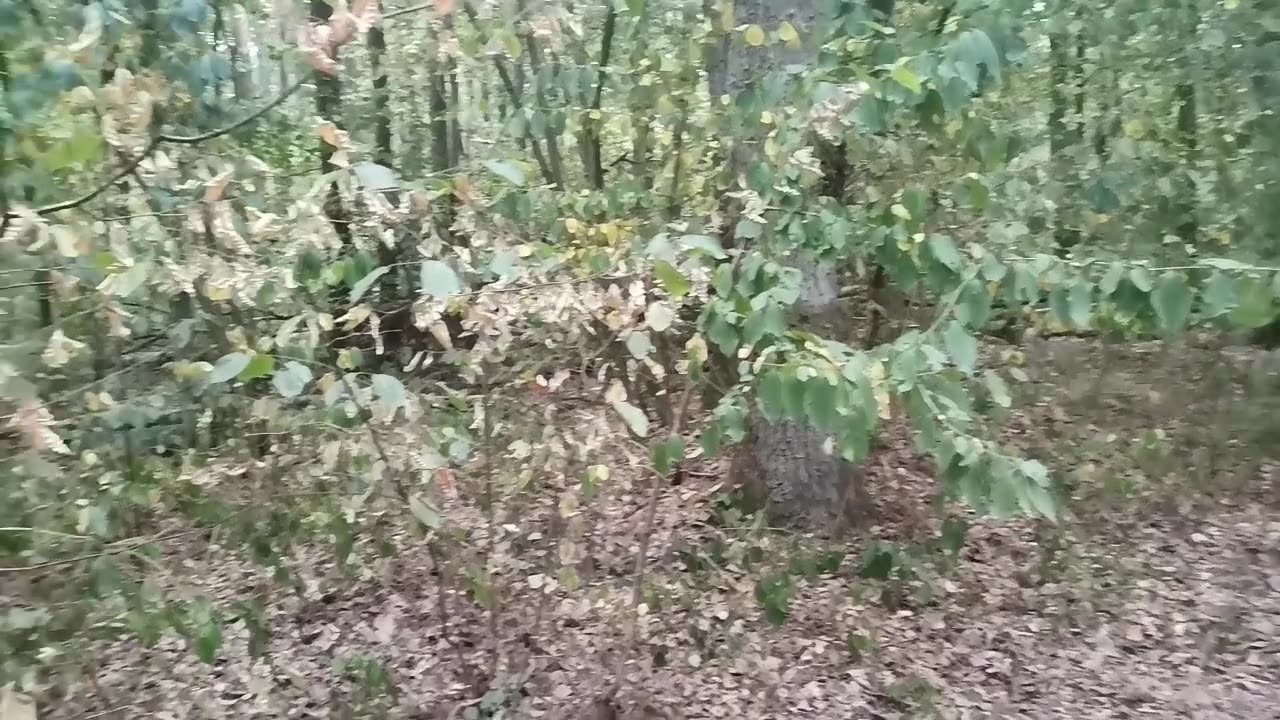 budujące ...