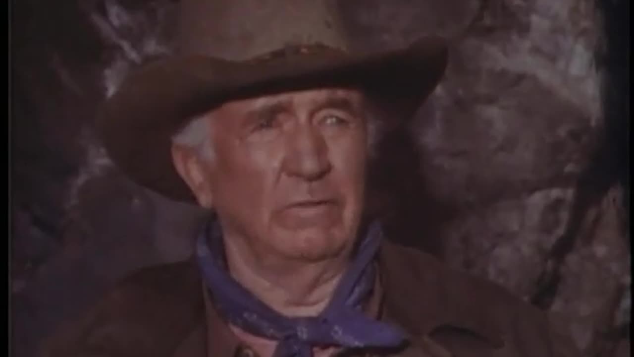 WILLSONNETTD2 Movie 11 1