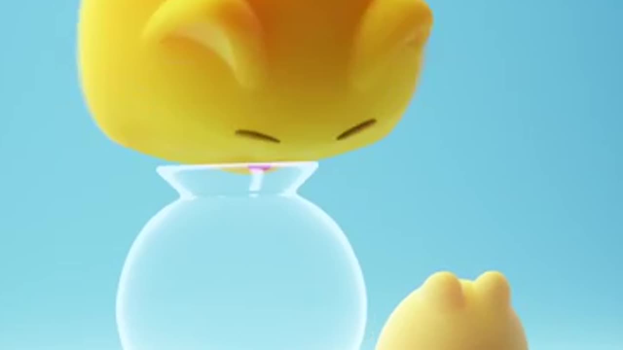 Can your cat do this?