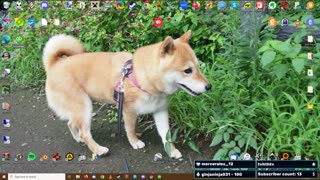 Friday Scambaiting Live!