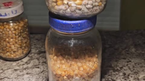 Mushroom contamination